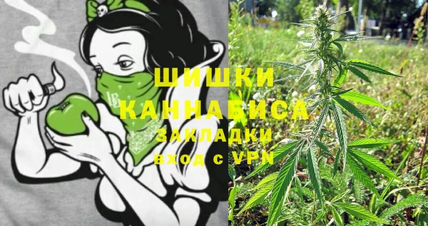 PSILOCYBIN Усинск