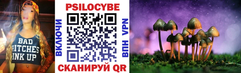 Псилоцибиновые грибы GOLDEN TEACHER  Элиста 