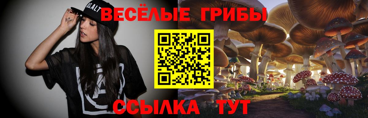 Галлюциногенные грибы MAGIC MUSHROOMS  Вход с VPN  Элиста 