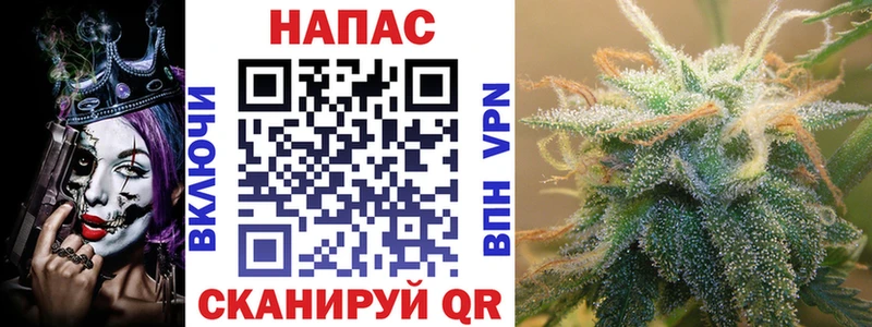 Шишки марихуана сатива Элиста